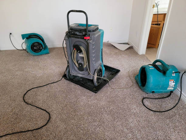 Best Water damage restoration services  in Crockett, CA