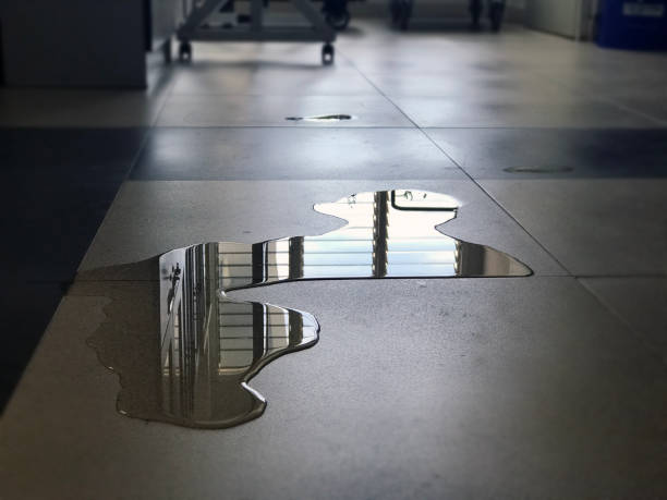 Best 24-hour water damage restoration  in Crockett, CA