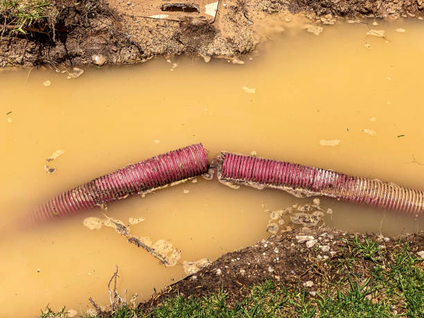 Best 24/7 water damage repair  in Crockett, CA
