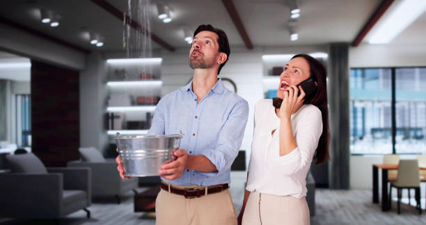 Best Local water damage restoration  in Crockett, CA