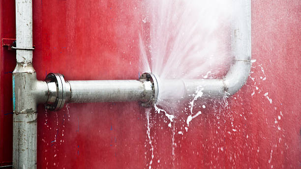 Best Basement water damage restoration  in Crockett, CA
