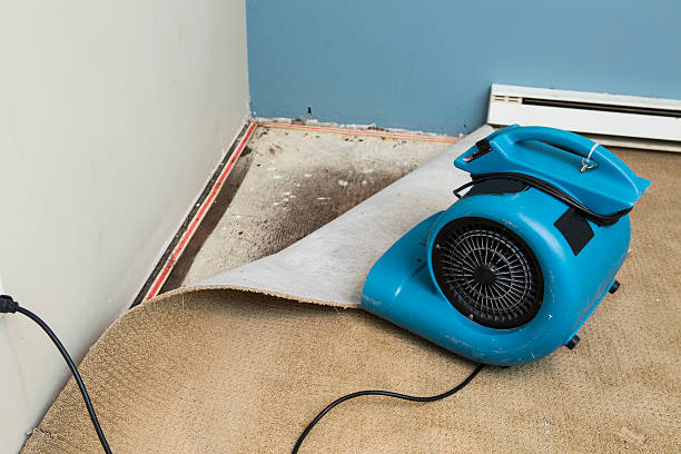 Best Sewage cleanup and water damage restoration  in Crockett, CA